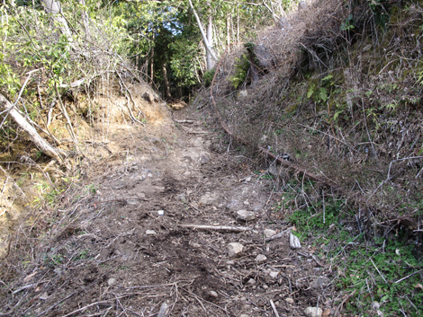20160121hike (39)